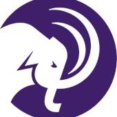 Mammoth Week Hub profile image
