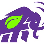 Veggie Club Hub profile image